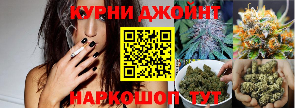 Конопля гибрид Курганинск